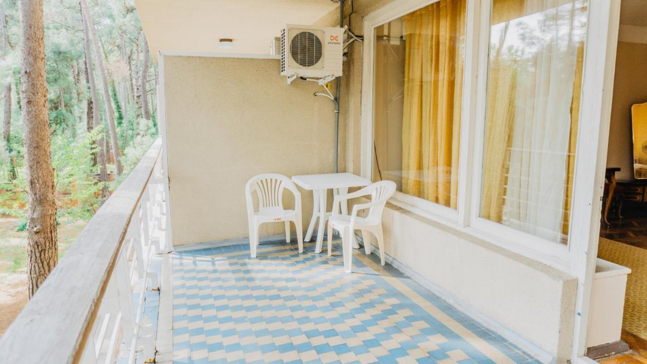 Gosdacha Ldzaa 호텔 Lidzava 외부 사진